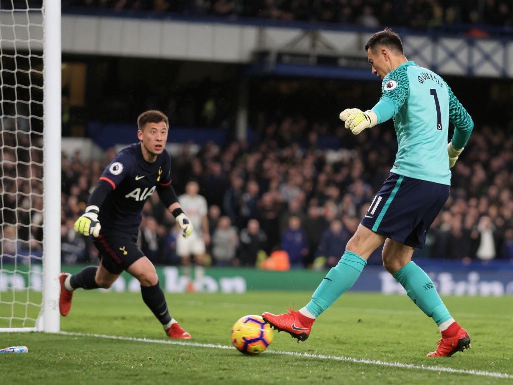 注册的账户 注册的账户