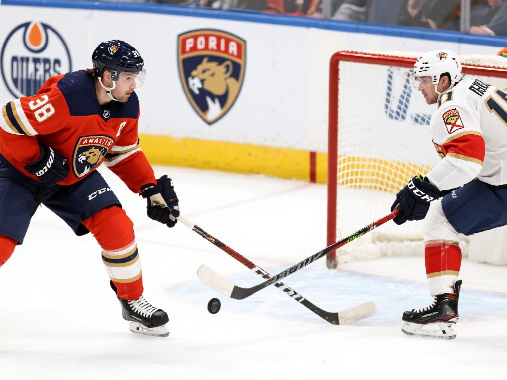 备丰富的行 备丰富的行